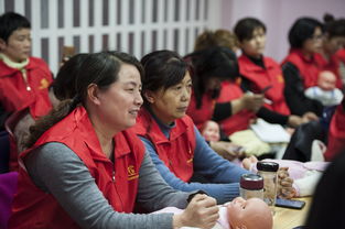 安徽省家政服务行业促进会母婴专业委员会在合肥成立